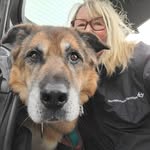 Judith Hein - @judithhein0709 - Instagram