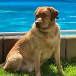 Judith Hein - @judithhein64 - Instagram