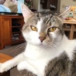 Judith Hendricks - @judetha49 - Instagram