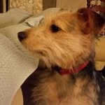 Judith Henning - @judithhenning3574 - Instagram