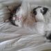 Judith Hetrick - Facebook