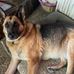 Judi Hicks - Facebook