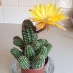 Judith Hills - @hillsjudith - Instagram