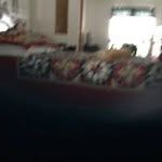 Judith Hindle - @judithhindlejudihiiphone - Instagram