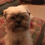 Judith Hindle - @judehindle - Instagram