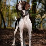 Judith Lawton - @judith.hindley.5 - Instagram