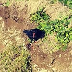 Judith Holder - @judith_holder - Instagram