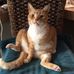 Judy Holub - Facebook