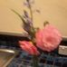 Judith Hood - Facebook