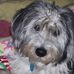 Judi Hostetler Topol - Facebook