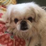 Elena Hurwitz - @elenajudithhurwitz - Instagram