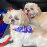 Judy Hurwitz - @judithhurwitz - Instagram