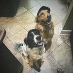 Judith Hutton - @puffbliss48 - Instagram
