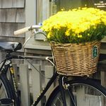 Judith Wilson - @judith_ives_wilson - Instagram