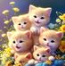 Judith Jacob - Facebook