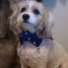 Judy Jankowski - @judyjankowski - TikTok