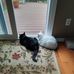Judith Jasper - Facebook