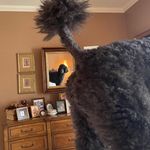 Judith K Jumper - @jumperkip - Instagram