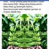 judithkeane616430 - @judithkeane616430 - TikTok