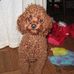 Judith Kern - Facebook