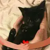 judithkern62 - @judithkern62 - TikTok