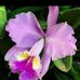 Judith Kouz - Facebook