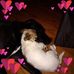 Judith Kimball - Facebook