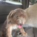 Judi Kulp - Facebook