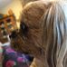Judie Lafferty - Facebook