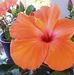 Judith Lafferty - Facebook