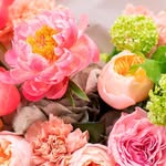 Judith Lalli - @judith4always - Instagram