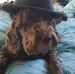 Judi Langdon - Facebook