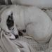 Judith Lantz - Facebook