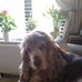 Judith Leeson - Facebook