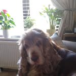 Judith Leeson - @leesjud21 - Instagram