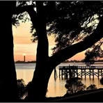 Judith Leigh - Facebook