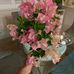 Judith Letourneau - Facebook