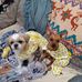 Judith Letourneau-Johnson - Facebook