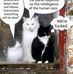 Judith Lewandowski - Facebook