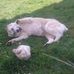 Judith Lind - Facebook