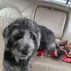 judith_little2001 - @judith_little2001 - TikTok