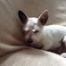 Judith Lovett - Facebook
