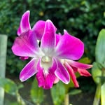 Judith Lowry - @judithlowry223 - Instagram