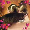 Judith Lugo - @32740633194 - TikTok