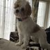 Judith Lunn - Facebook