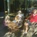 Judith Lyons - Facebook
