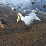 Judith Lyons - @juditha.7d - Instagram