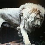 Pamela Judith Lyons - @pamela.j.lyons - Instagram