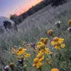 Judith Maddox - @judithmaddox992 - TikTok