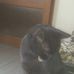 Judith Malcolm - Facebook